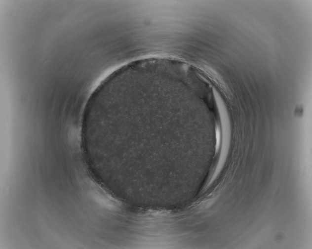 X0000093760484200710231255