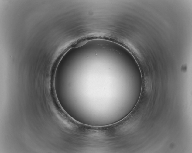 X0000093760486200710231255