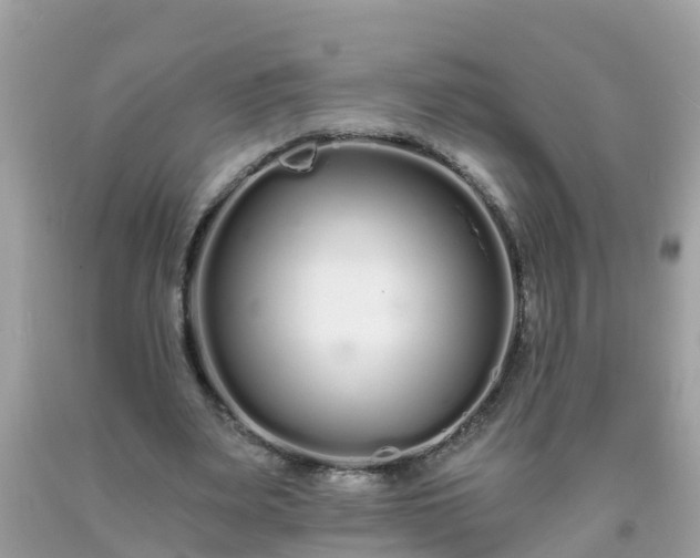 X0000093760487200710231255