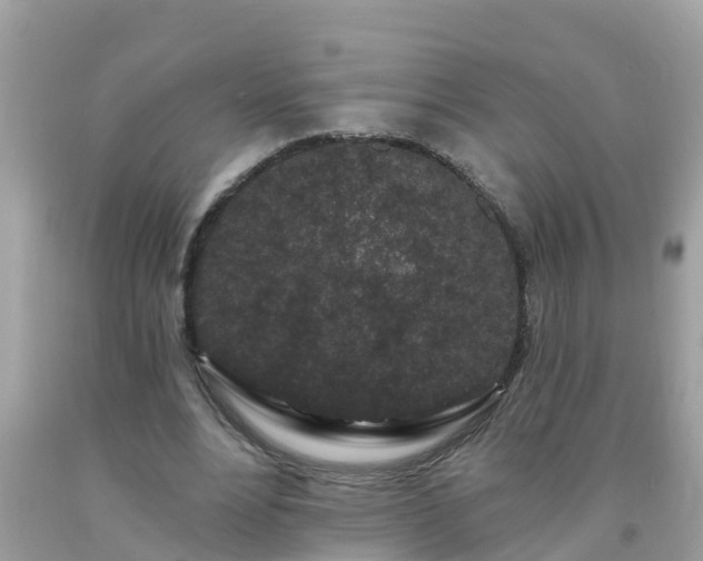 X0000093760488200710231255