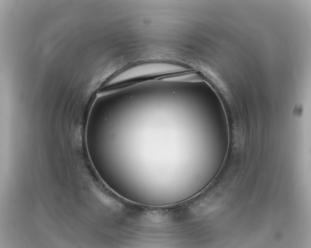 X0000093760489200710231255