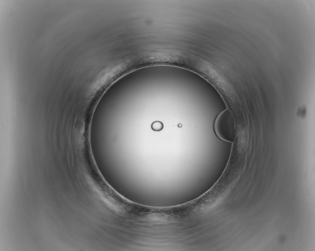 X0000093760490200710231255