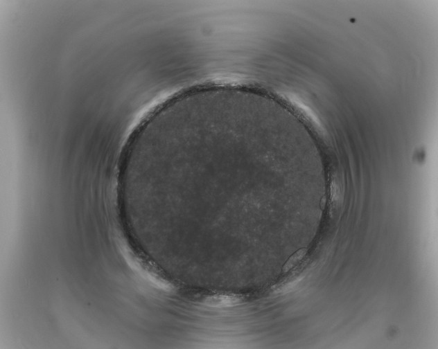 X0000093760492200710231255