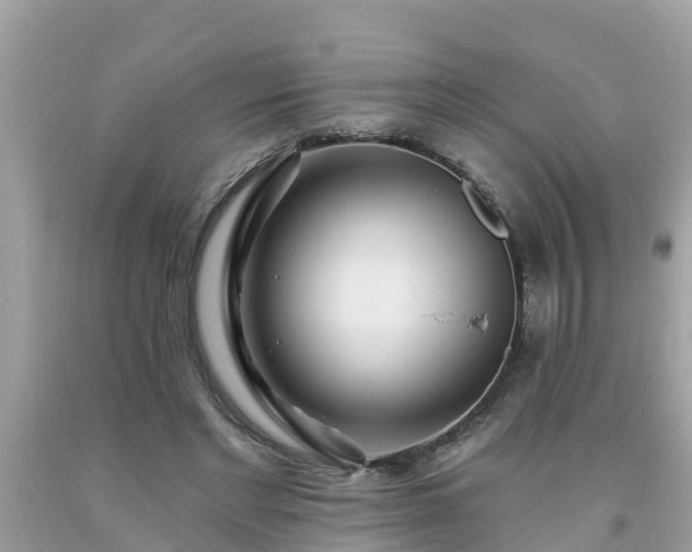 X0000093760493200710231255