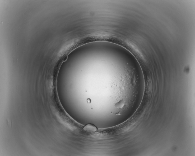 X0000093760494200710231255