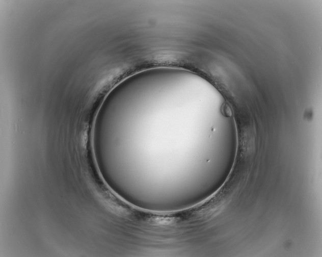 X0000093760495200710231255