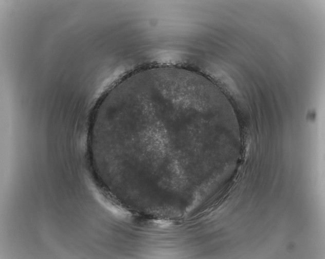 X0000093760496200710231255