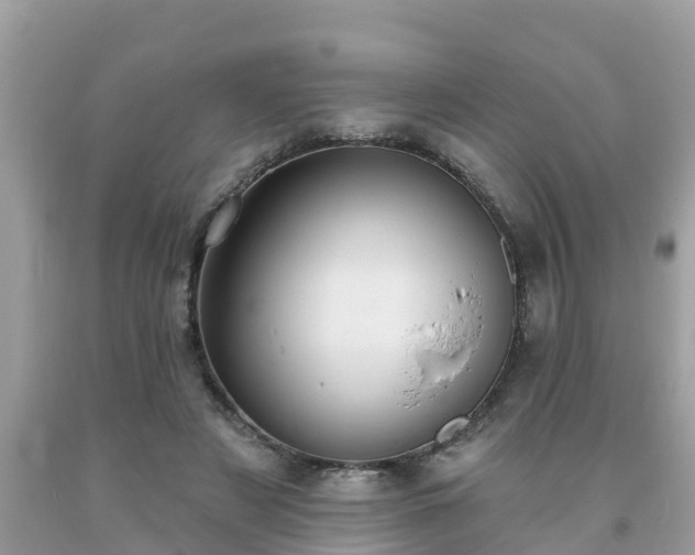 X0000093760497200710231255