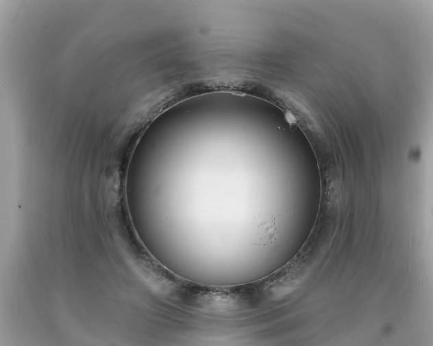 X0000093760498200710231255