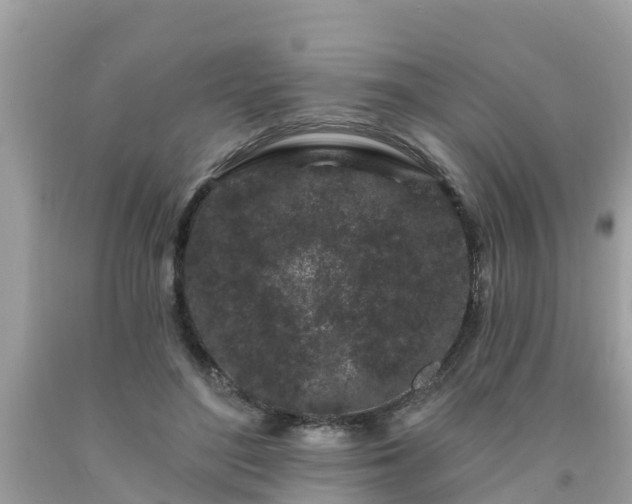 X0000093760500200710231255