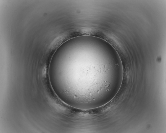 X0000093760502200710231255