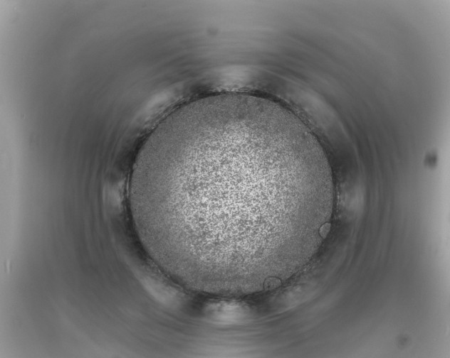 X0000093760503200710231255