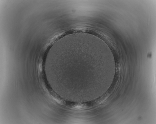 X0000093760504200710231255