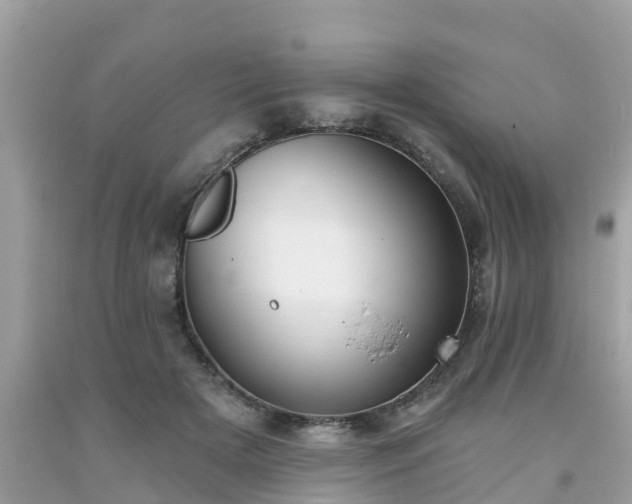 X0000093760505200710231255