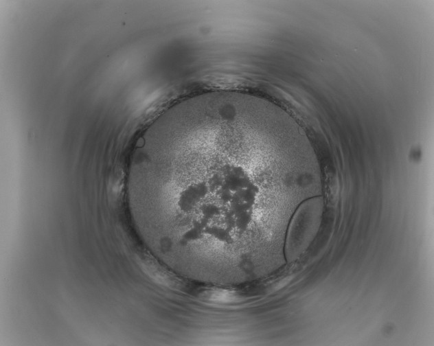 X0000093760507200710231255