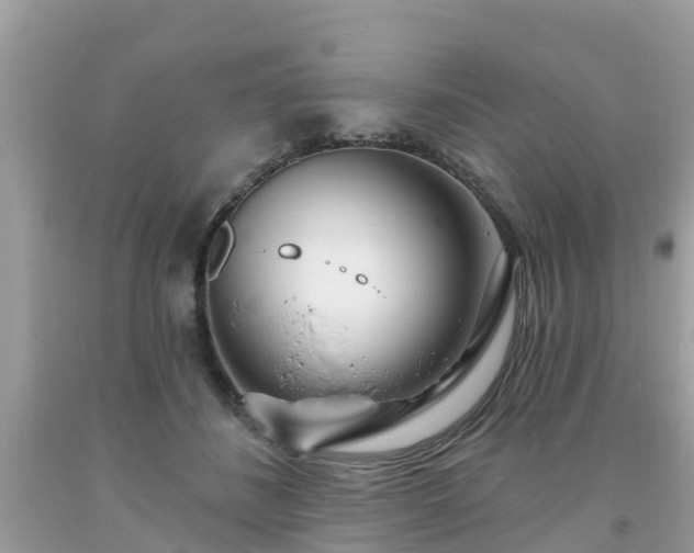 X0000093760508200710231255