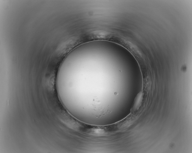 X0000093760509200710231255