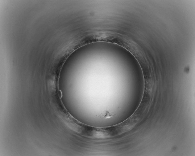 X0000093760510200710231255