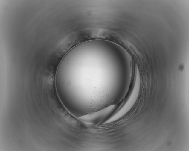 X0000093760513200710231255