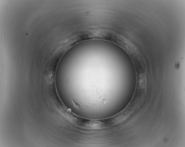 X0000093760514200710231255