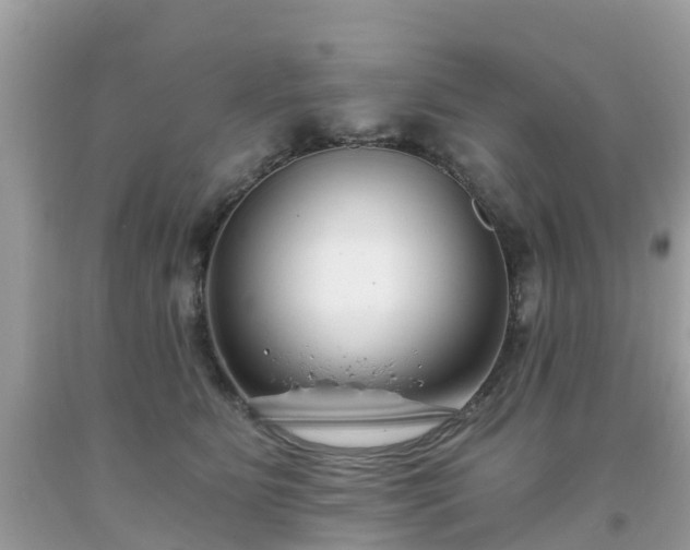 X0000093760515200710231255