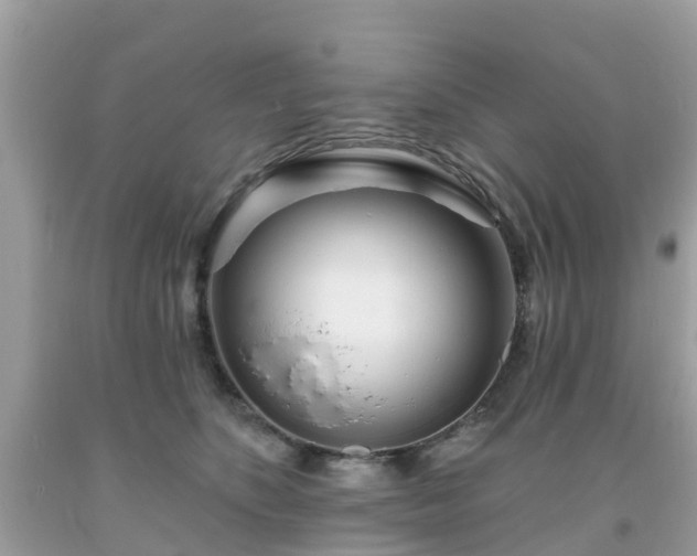 X0000093760516200710231255