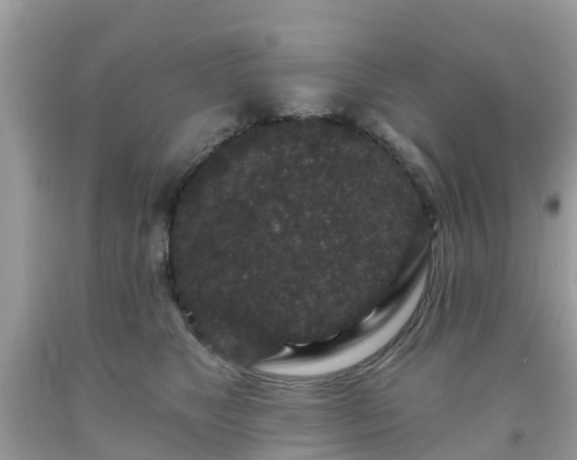 X0000093760517200710231255