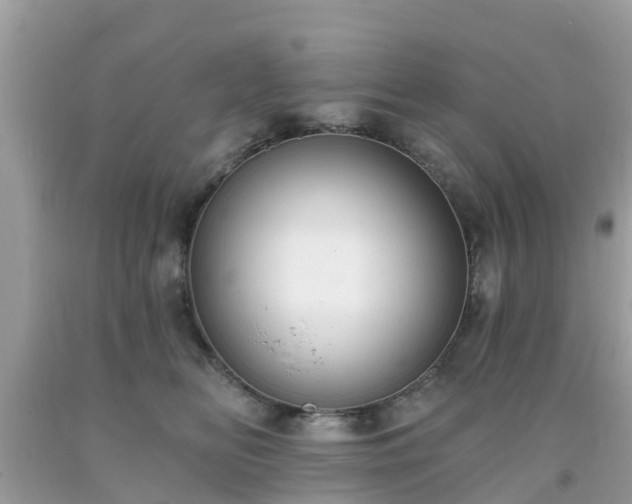 X0000093760518200710231255