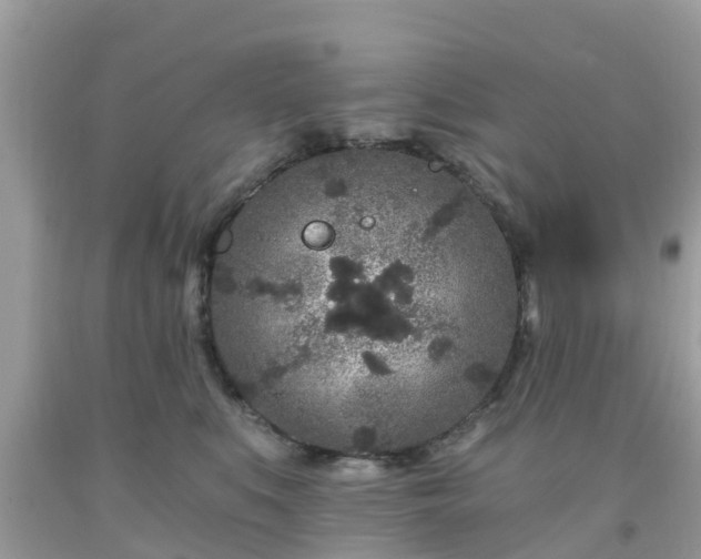 X0000093760519200710231255