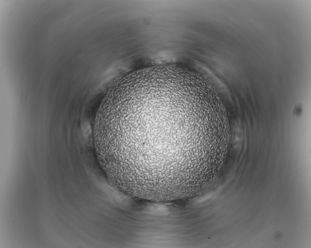 X0000093760523200710231255