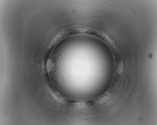 X0000093760524200710231255