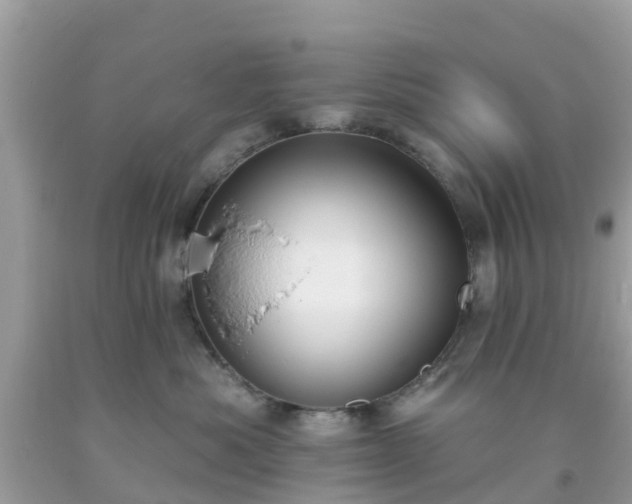 X0000093760525200710231255