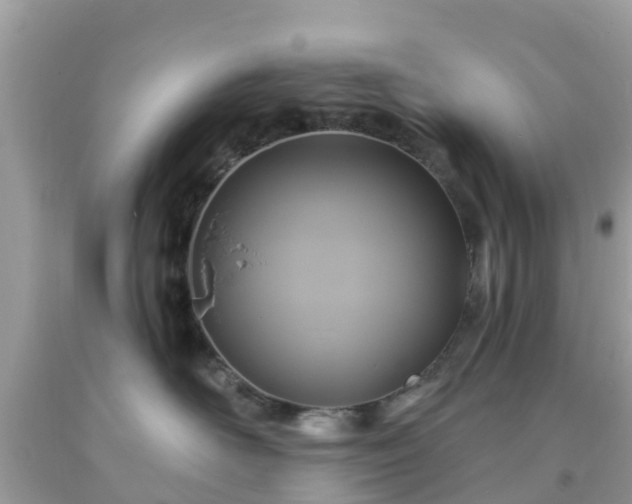 X0000093760526200710231255