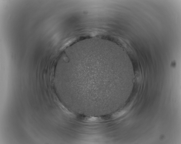 X0000093760527200710231255