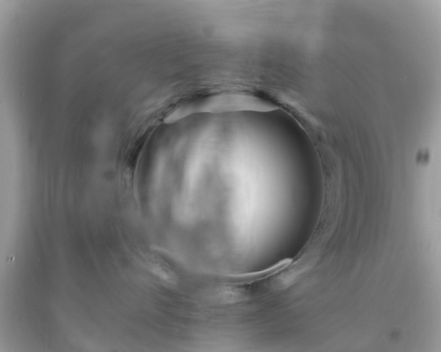 X0000093760528200710231255