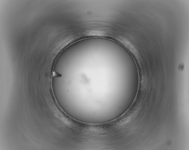 X0000093760529200710231254