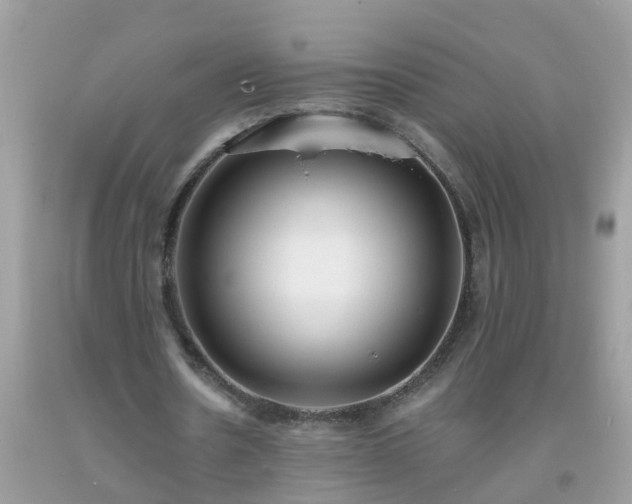 X0000093760530200710231254