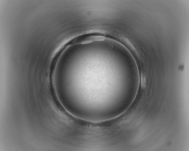 X0000093760531200710231254