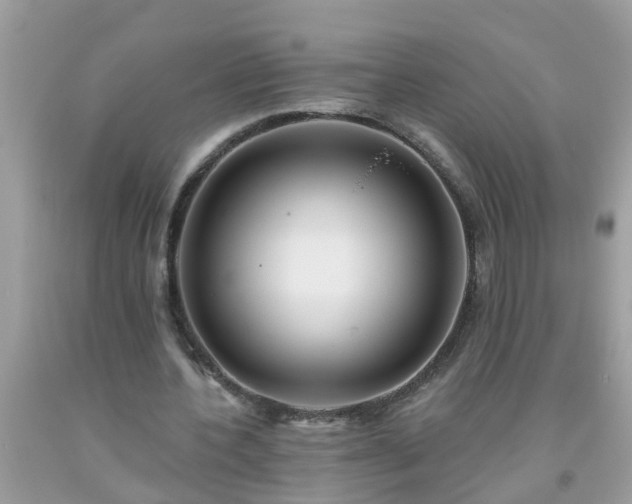 X0000093760532200710231254