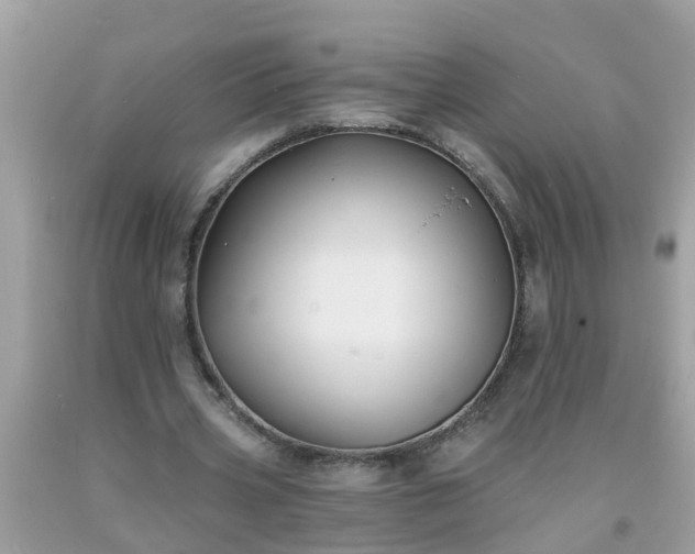 X0000093760533200710231254