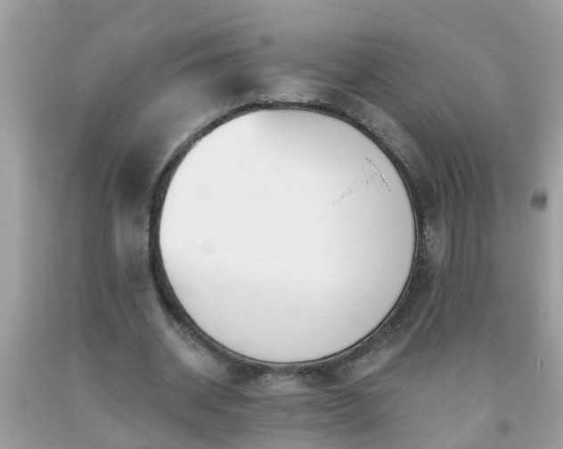 X0000093760534200710231254