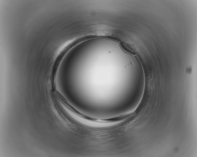 X0000093760536200710231254