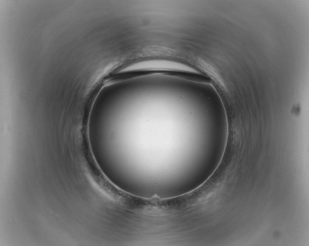 X0000093760538200710231254