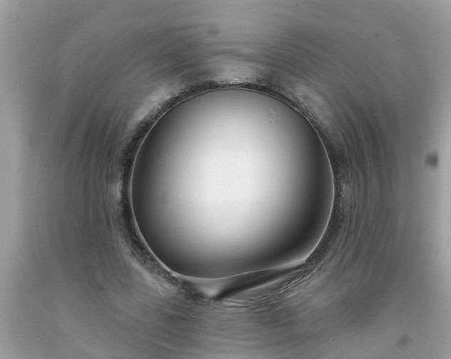 X0000093760539200710231254