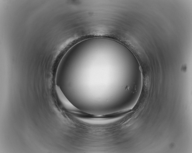 X0000093760540200710231254