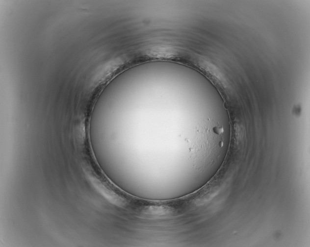 X0000093760541200710231254