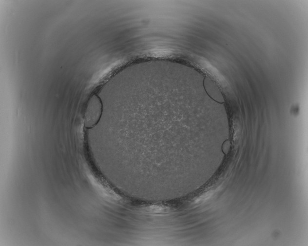 X0000093760542200710231254