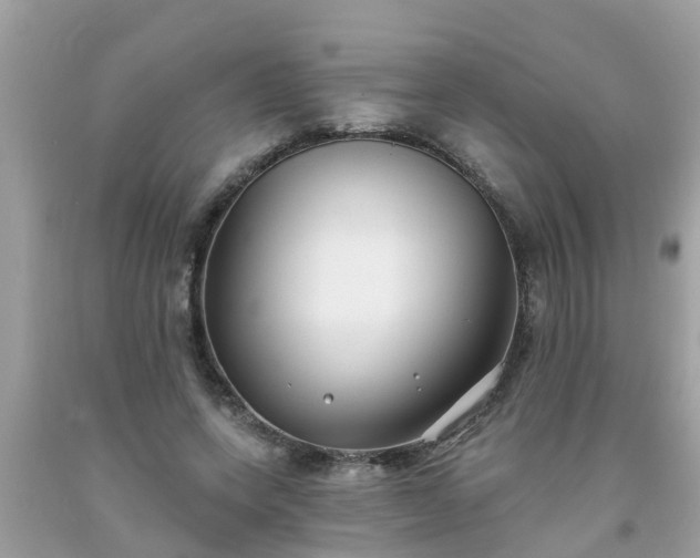 X0000093760543200710231254