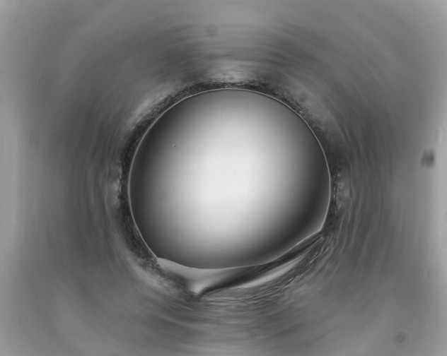 X0000093760544200710231254