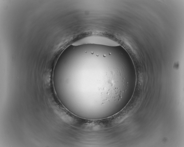 X0000093760545200710231254